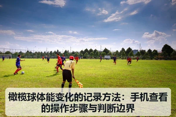橄榄球体能变化的记录方法:手机查看的操作步骤与判断边界